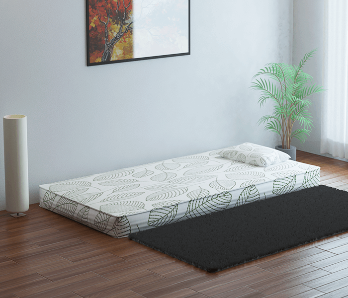 mattress on rent for a day near me